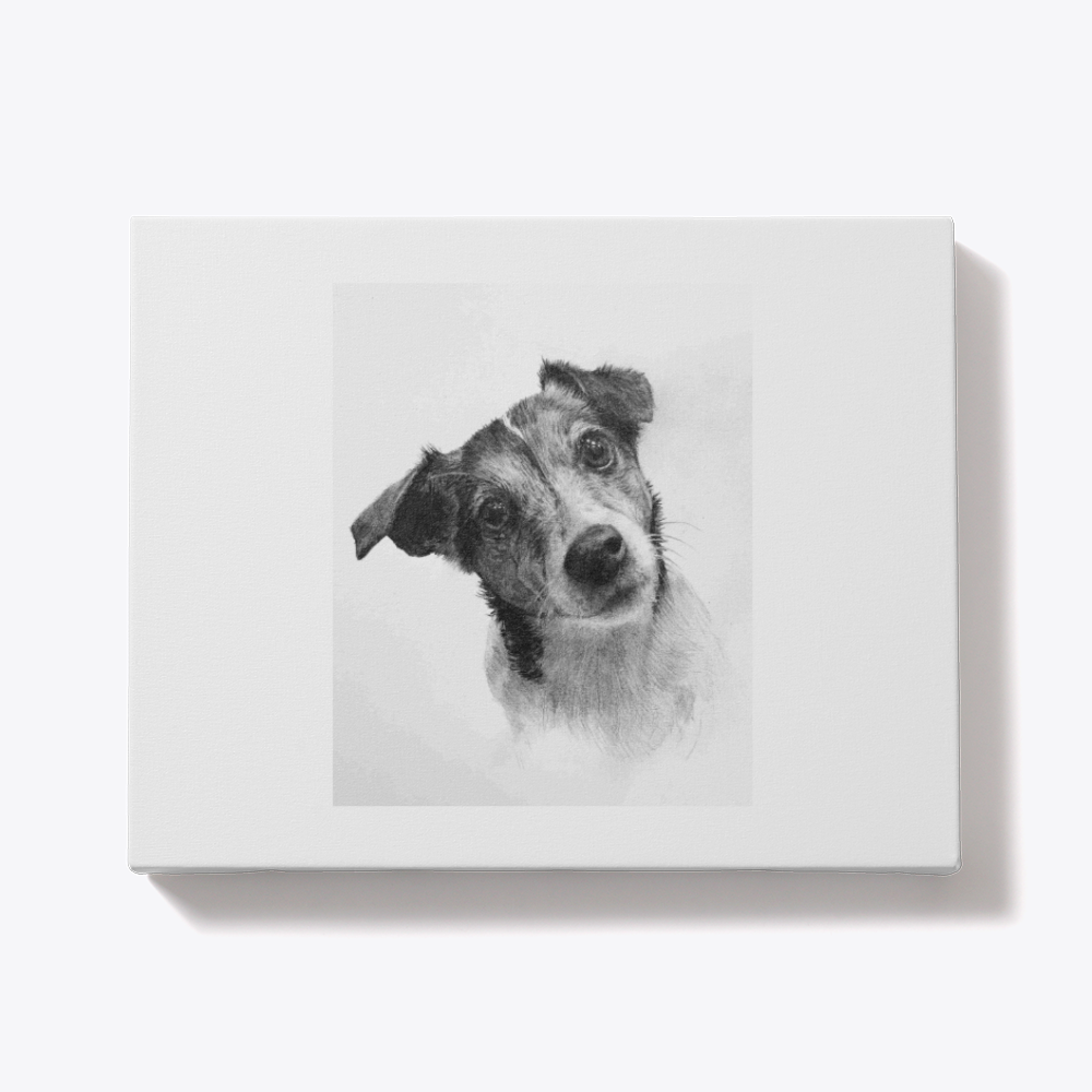 Custom Hand-Drawn Pet Portraits – A Personalized Keepsake for Your Furry Friend