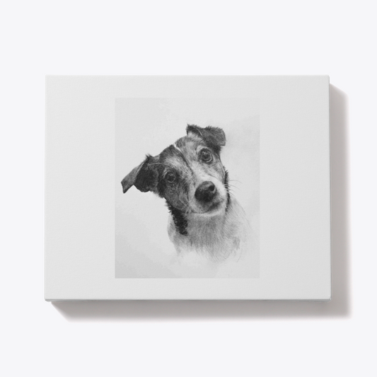 Custom Hand-Drawn Pet Portraits – A Personalized Keepsake for Your Furry Friend