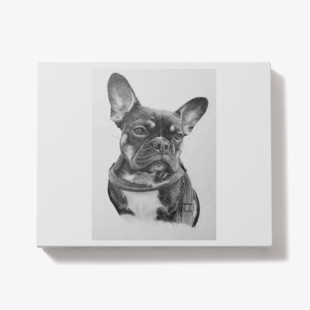 Custom Hand-Drawn Pet Portraits – A Personalized Keepsake for Your Furry Friend