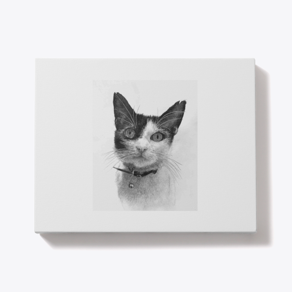 Custom Hand-Drawn Pet Portraits – A Personalized Keepsake for Your Furry Friend