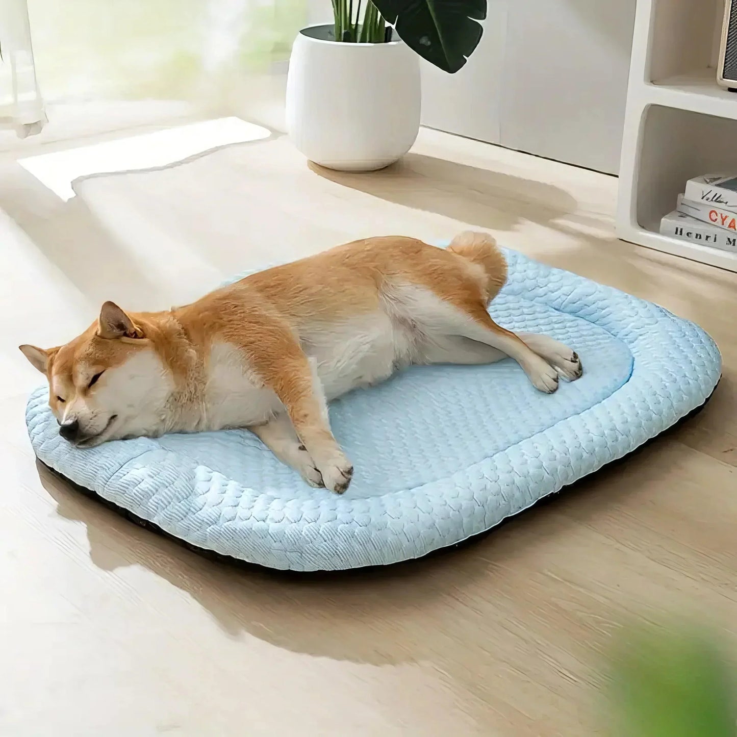 Cooling Dog Bed