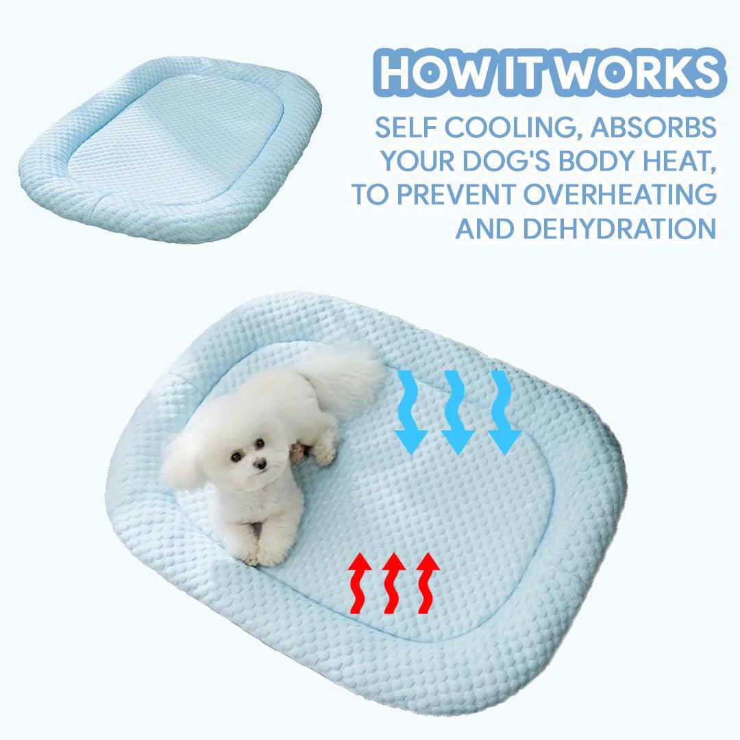 Cooling Dog Bed