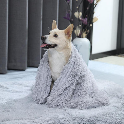 Fluffy Dog Blanket